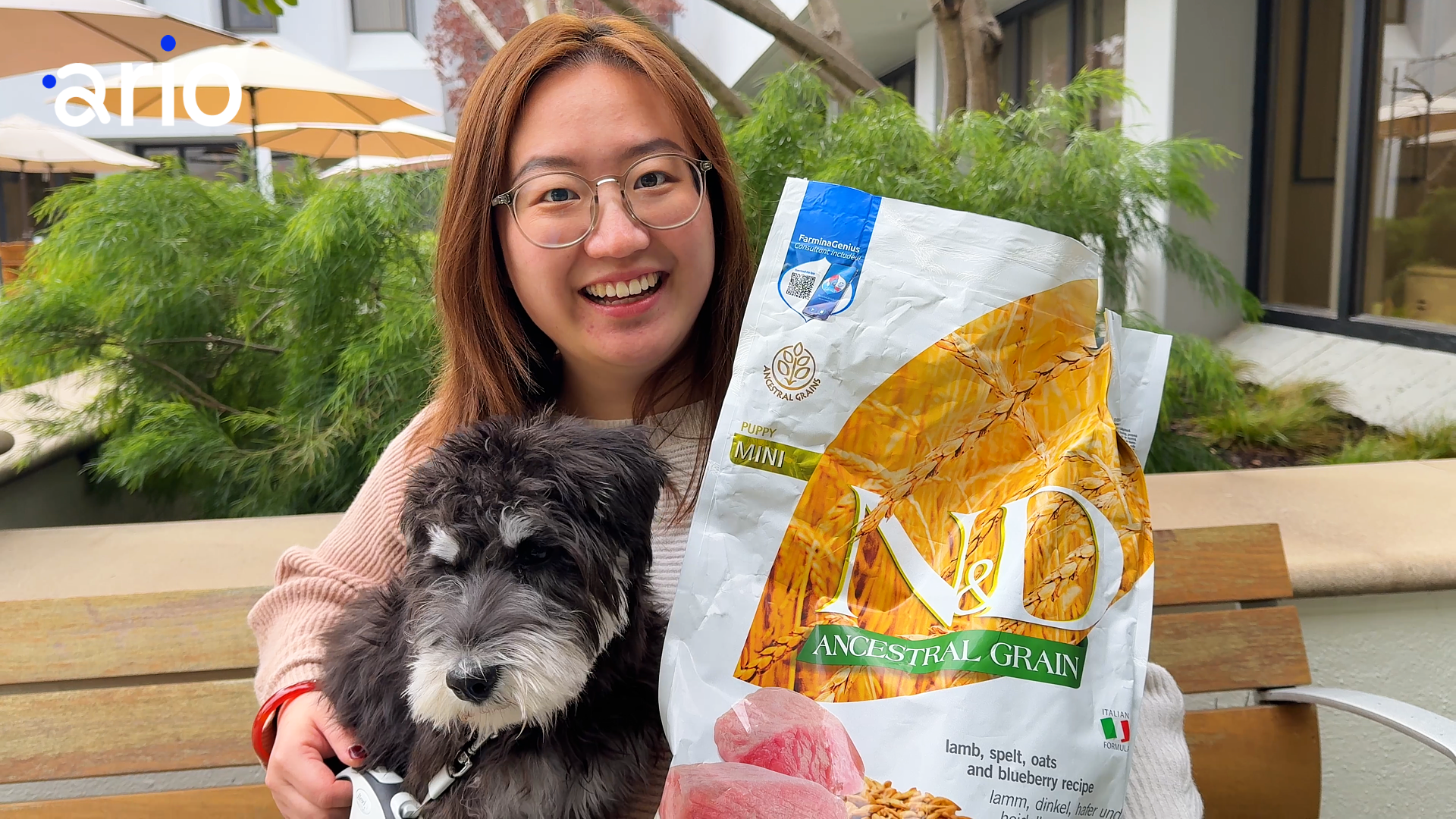 The invisible pet economy